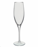 DARTINGTON CRYSTAL WINE MASTER FLUTE CHAMPAGNE GLASS
